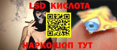прущие грибы Обнинск