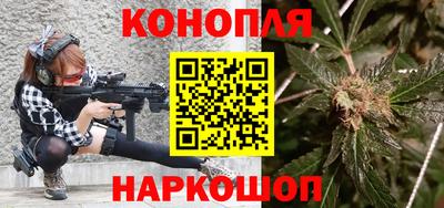 a pvp Новозыбков