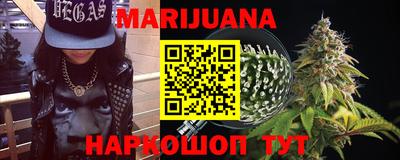 a pvp Новозыбков