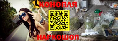 a pvp Новозыбков