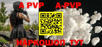 a pvp Новозыбков