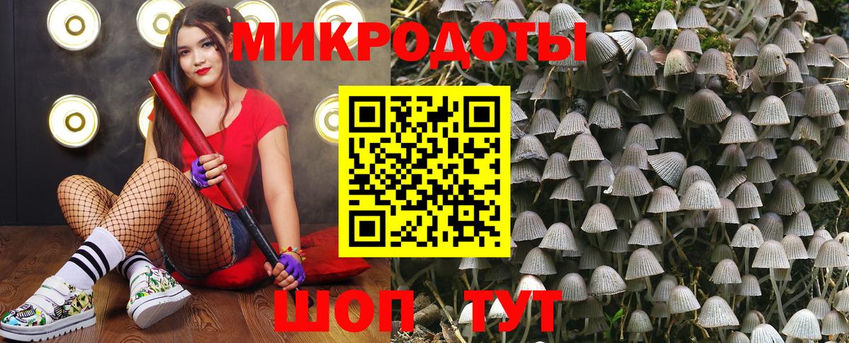 Псилоцибиновые грибы GOLDEN TEACHER  Вход с VPN  Урюпинск 