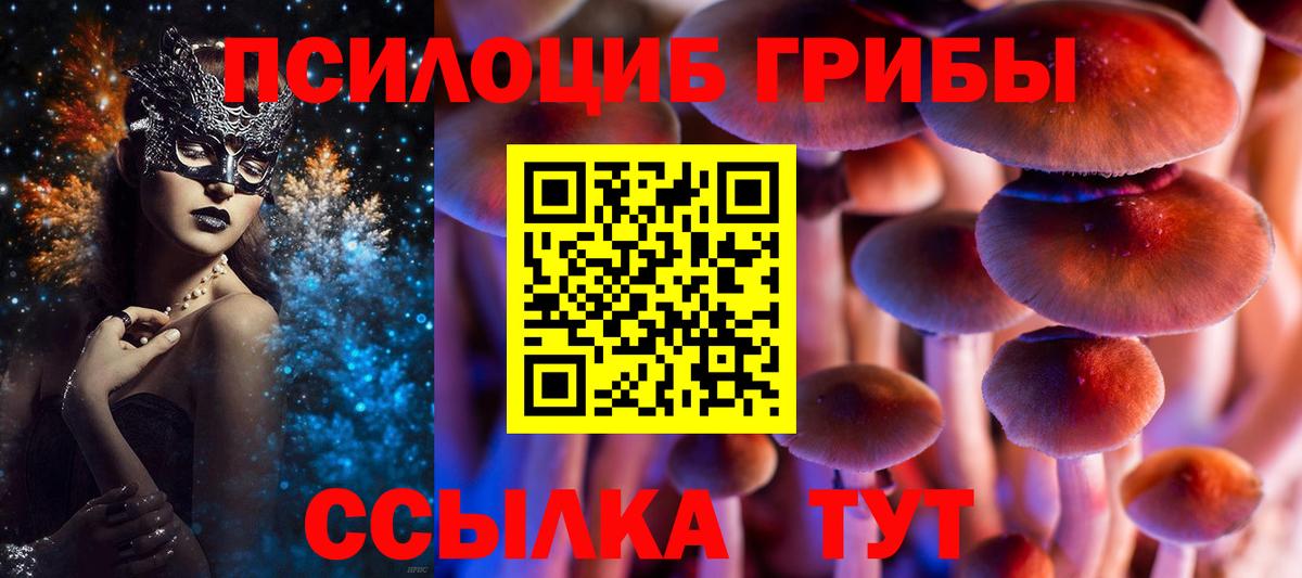 Псилоцибиновые грибы ЛСД Урюпинск