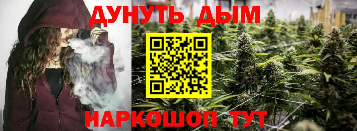 Конопля сатива Урюпинск